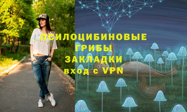 мяу мяу мука Алзамай