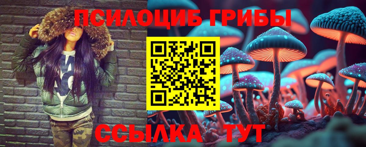 Чебаркуль  сколько стоит  Вход с VPN  Галлюциногенные грибы GOLDEN TEACHER 